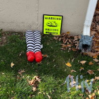 Homage to Wizard of Oz